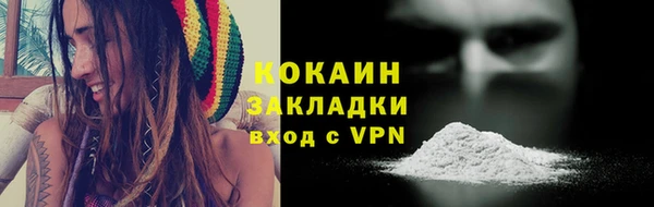 мяу мяу кристалл Няндома