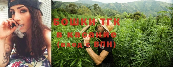 стаф Абаза
