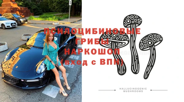 стаф Абаза