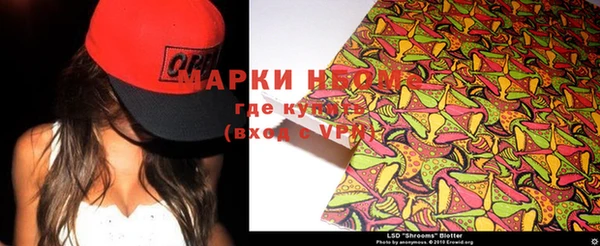 apvp Алексин