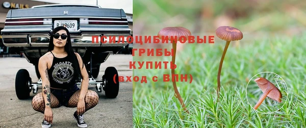 стаф Абаза