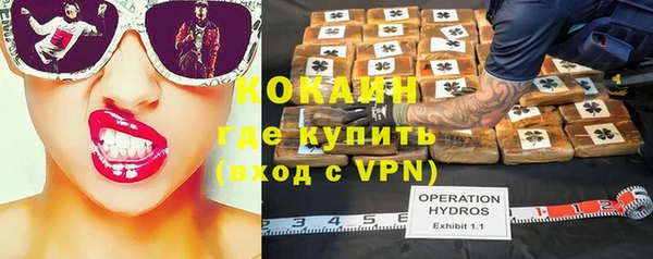 мяу мяу кристалл Няндома