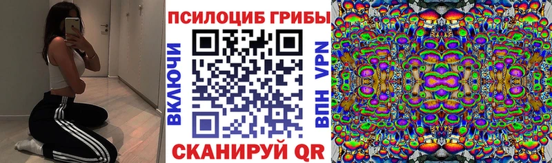 KRAKEN рабочий сайт  Электроугли  Галлюциногенные грибы Psilocybe  купить наркотик 